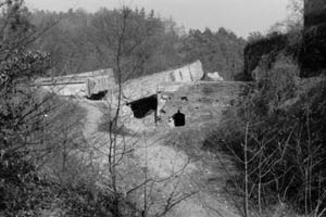 71.Bunker, Ziegenberg