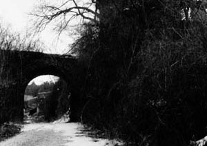 73. Schloß Ziegenberg