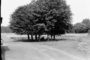 14. Diverse Friedhöfe