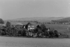 94. Löwenhof bei Wisselsheim