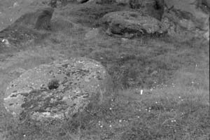 75. Steinbruch bei Münzenberg