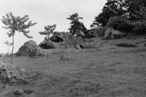 76. Münzenberg, Steinberg