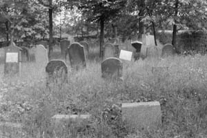 77. Friedhof bei Münzenberg