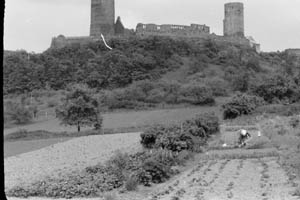 80. Burg 'Minzenberg'