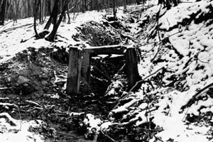 54. Stollenmund, Nähe Römerturm