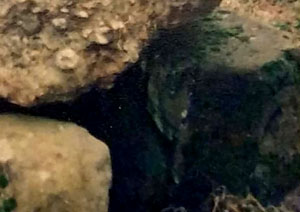 Steinkammergrab Muschenheim