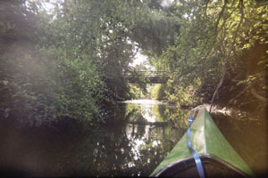 Kanufahrt mit Bildern von Bäumen und Wurzeln am Ufer