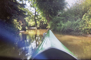 Kanufahrt mit Bildern von Bäumen und Wurzeln am Ufer