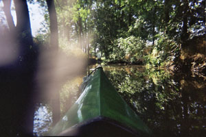 Kanufahrt mit Bildern von Bäumen und Wurzeln am Ufer