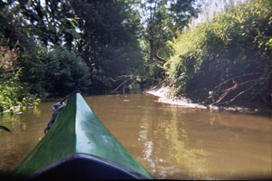 Kanufahrt mit Bildern von Bäumen und Wurzeln am Ufer