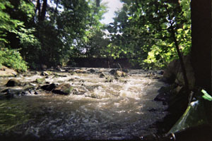 Kanufahrt mit Bildern von Bäumen und Wurzeln am Ufer