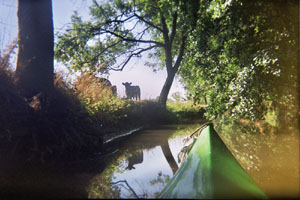 Kanufahrt mit Bildern von Bäumen und Wurzeln am Ufer