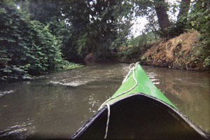 Kanufahrt mit Bildern von Bäumen und Wurzeln am Ufer