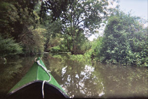 Kanufahrt mit Bildern von Bäumen und Wurzeln am Ufer