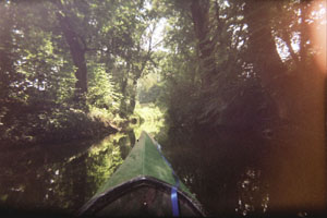 Kanufahrt mit Bildern von Bäumen und Wurzeln am Ufer