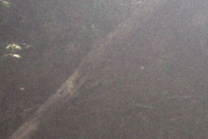 Kanufahrt mit Bildern von Bäumen und Wurzeln am Ufer