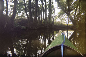 Kanufahrt mit Bildern von Bäumen und Wurzeln am Ufer