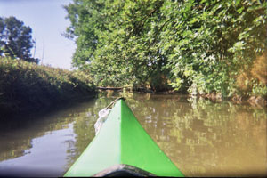 Kanufahrt mit Bildern von Bäumen und Wurzeln am Ufer