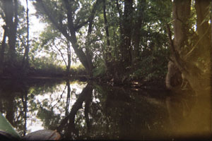 Kanufahrt mit Bildern von Bäumen und Wurzeln am Ufer