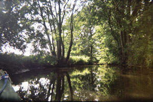 Kanufahrt mit Bildern von Bäumen und Wurzeln am Ufer