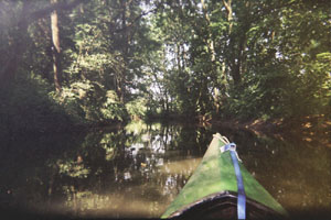 Kanufahrt mit Bildern von Bäumen und Wurzeln am Ufer