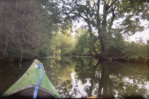 Kanufahrt mit Bildern von Bäumen und Wurzeln am Ufer