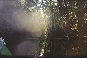 Kanufahrt mit Bildern von Bäumen und Wurzeln am Ufer