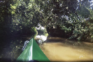Kanufahrt mit Bildern von Bäumen und Wurzeln am Ufer