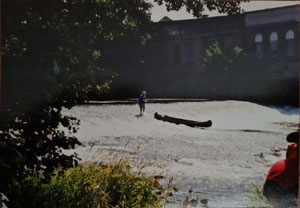 Kanufahrt mit Bildern von Bäumen und Wurzeln am Ufer