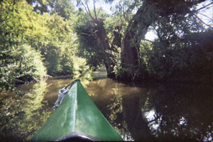 Kanufahrt mit Bildern von Bäumen und Wurzeln am Ufer