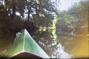 Kanufahrt mit Bildern von Bäumen und Wurzeln am Ufer