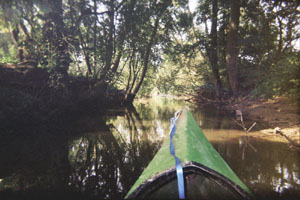 Kanufahrt mit Bildern von Bäumen und Wurzeln am Ufer