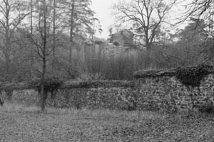 c155. Kloster Arnsburg, Mauer + Kirchenruine